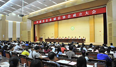 廣東霸王花實(shí)業(yè)集團(tuán)擔(dān)任首屆河源市企業(yè)誠信協(xié)會(huì)名譽(yù)會(huì)長