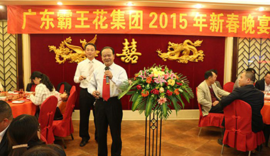 2015年廣東霸王花集團新春晚宴