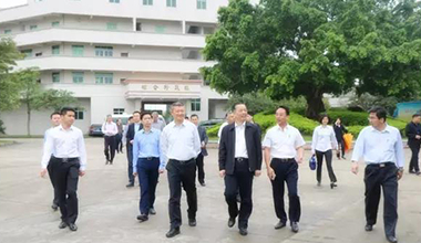 廣東省農業廳廳長鄭偉儀率隊蒞臨霸王花食品公司檢查指導工作