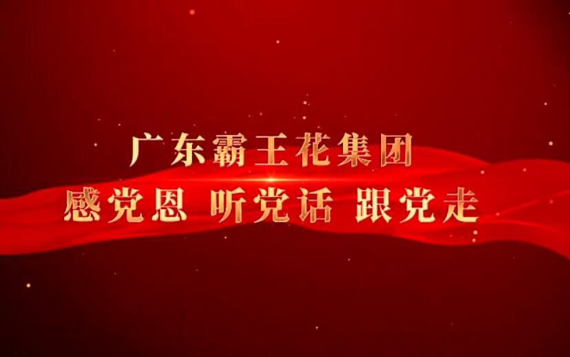 廣東霸王花集團黨委宣傳片