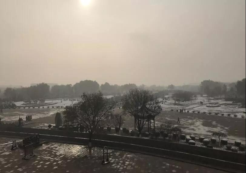 1550126238445871.jpg 4.jpg