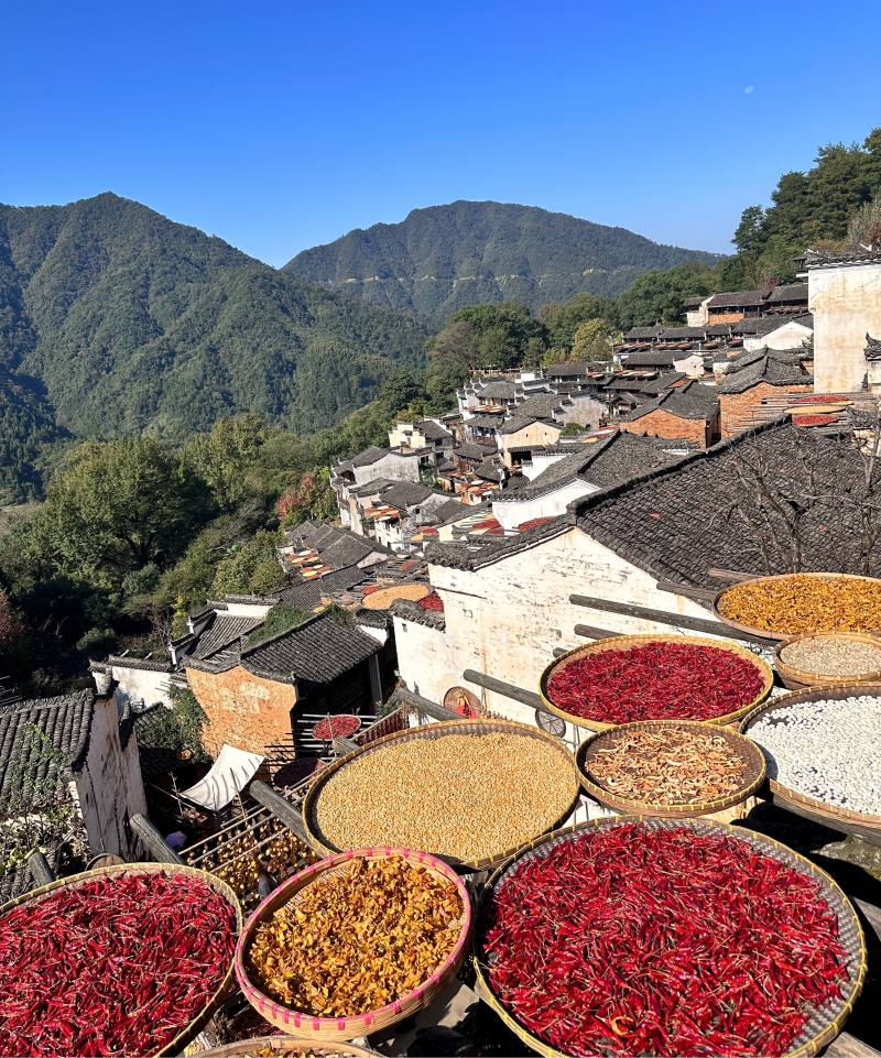 1699436353858852.jpg 圖片3.jpg